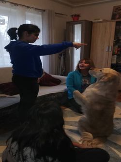 Fiatalok irányítják a terápiás kutyát kézmozdulatokkal.